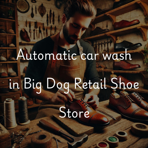 Automatic car wash in Big Dog Retail Shoe Store