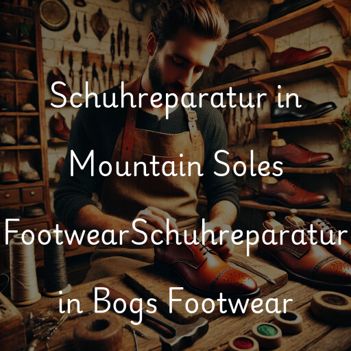 Schuhreparatur in